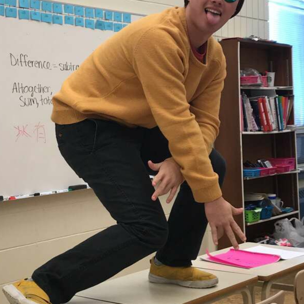 Yellow LE 31 sweater tricot knitwear